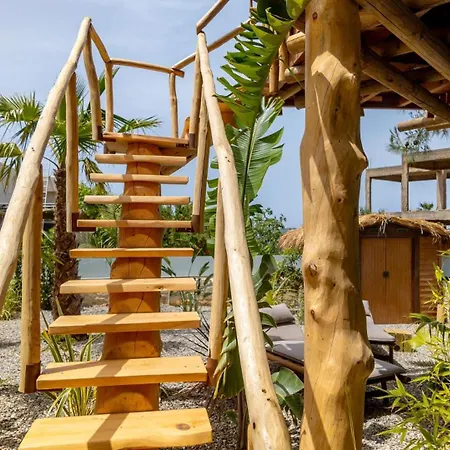 D Palm Premium Living - Kalathas, Chania Holiday home Chania (Crete)