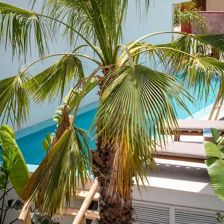 D Palm Premium Living - Kalathas, Chania Feriehus Chania (Crete)