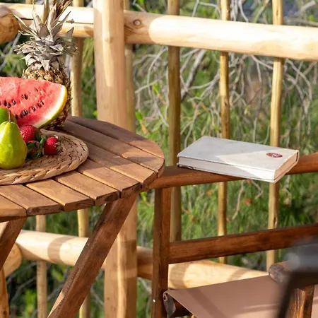 Casa vacanze D Palm Premium Living - Kalathas, Chania *